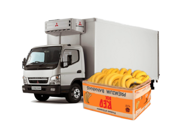 Перевозка бананов